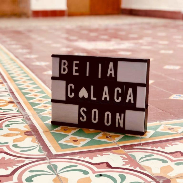 ‘Cosecha de Larvas’, una exposición de artistas mexicanos en el Centro Histórico de Morelia