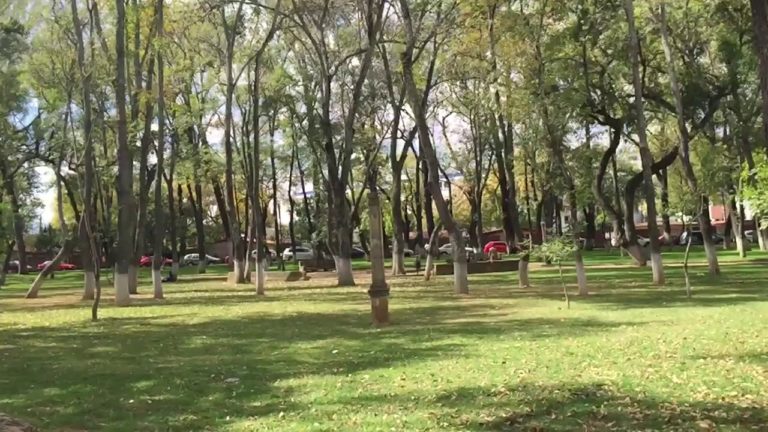 El bosque Cuauhtémoc