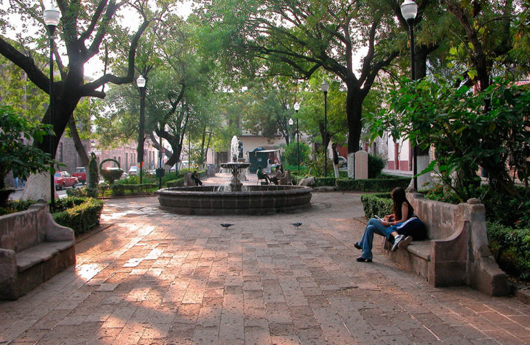 El jardín de las rosas