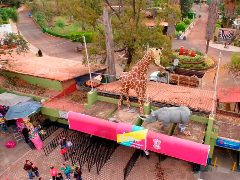 Invita el Zoológico de Morelia a conocer los 114 ejemplares nuevos de 23 diferentes especies.