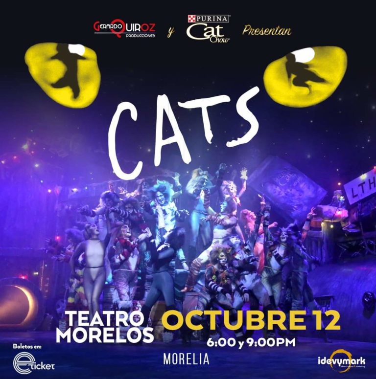 CATS EN MORELIA