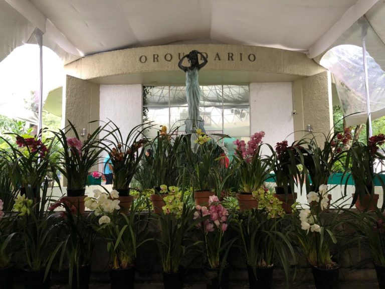 Inaugura Ceconexpo Expo Orquídea Otoñal 2019