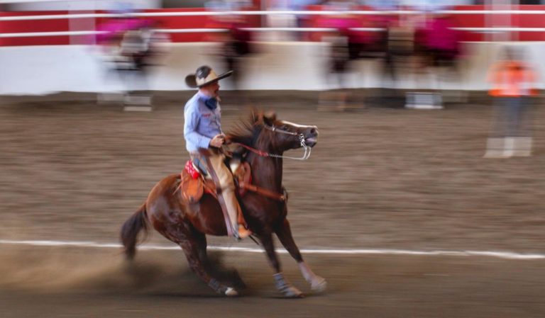 Presentarán conferencias y simposios en el Congreso y Campeonato Nacional Charro