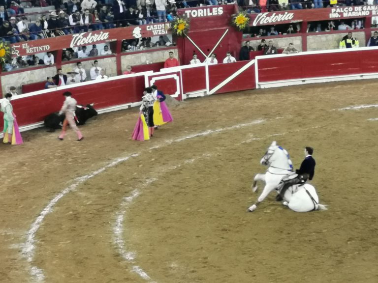 Tradicional Corrida de Noche de Muertos