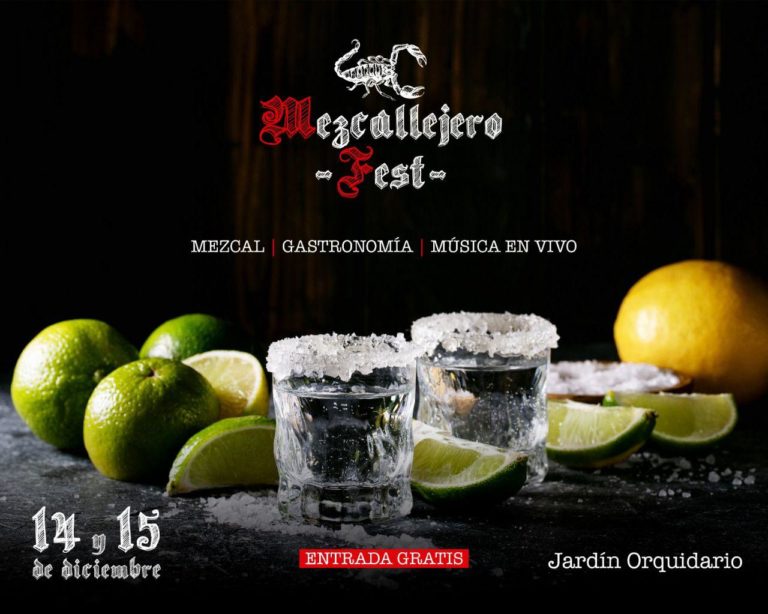No puedes faltar al Mezcallejero Fest en el Jardín del Orquidiario