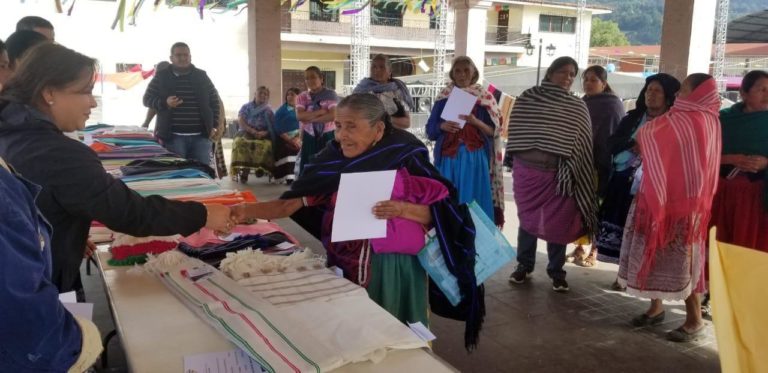 Premian ingenio de artesanas de Turícuaro