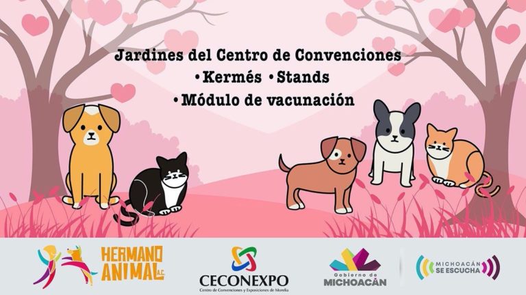 Asiste al 2º FESTIVAL AMOR…ES PERROS