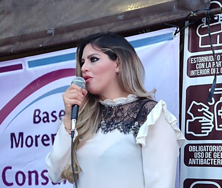 PERFILES MICHOACÁN, ELECCIONES 2021: ANABELCORONA MASCOT.