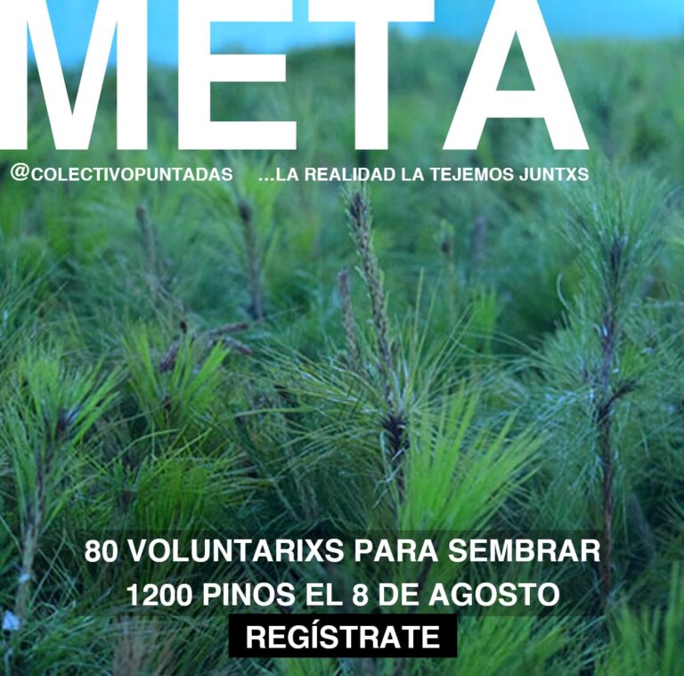 T E J E M O S E S F U E R Z O S P O R E L B I E N E S T A R C O M Ú N