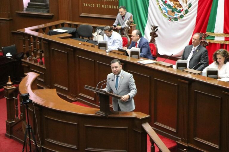 Presenta Reyes Galindo iniciativa para considerar como violencia contra la mujer el no reconocer el trabajo doméstico y cuidados en el hogar