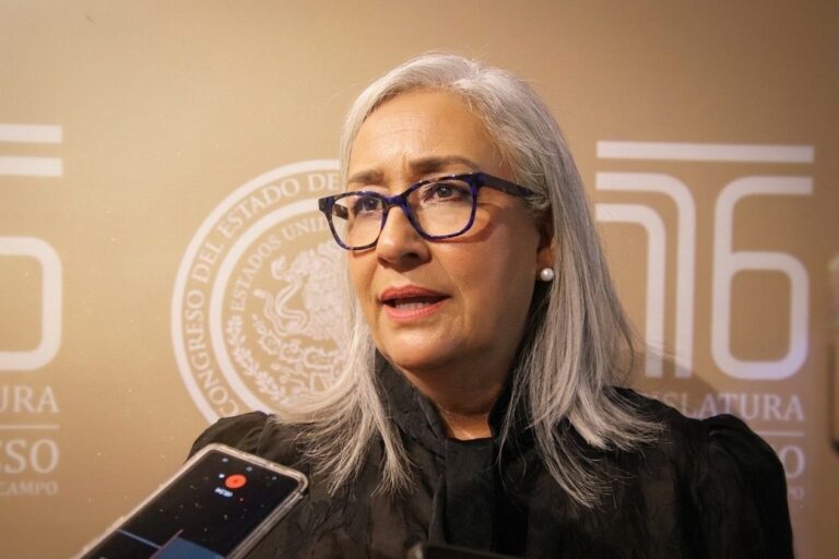 Impulsa Emma Rivera reforma para hacer obligatorias rampas de frenado en carreteras así como revisión a transporte de carga
