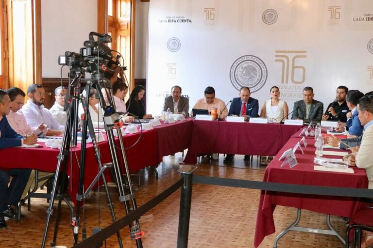 Reforma electoral debe hacerse en consenso y diálogo democrático: Diana Espinoza