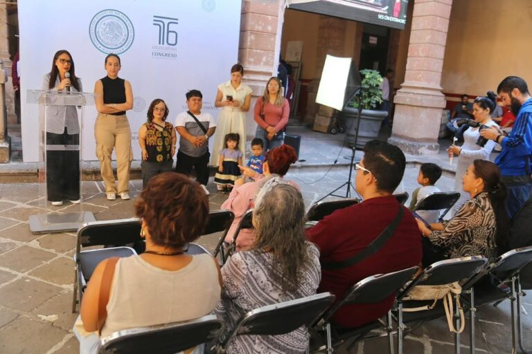 Presenta Nalleli Pedraza propuesta para garantizar el acceso a atención de médica a las personas con discapacidad