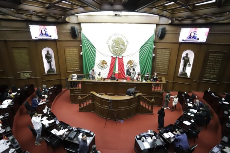 Impulsa Nalleli Pedraza reforma para crear el sistema estatal para visibilizar la realidad de las personas con discapacidad