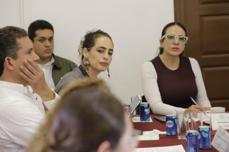 En Comisiones Unidas, legisladores sostienen reuniones con CFE, CEAGC y Catastro