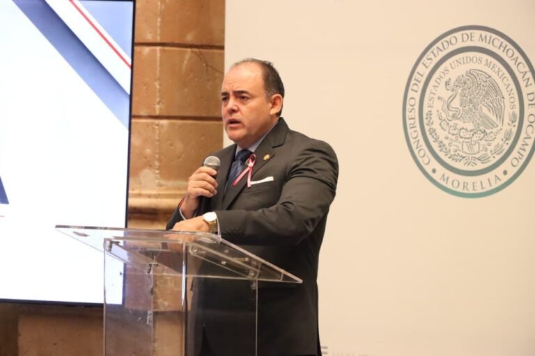 Justicia social y defensa de la soberanía nacional, legado vigente de Lázaro Cárdenas: Baltazar Gaona
